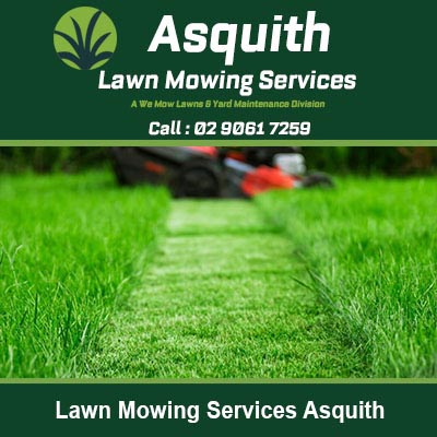 Fresh cut green grass with lawn mower in Asquith